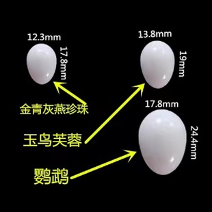 �𳲼��B����Q�����浰�Bٵ��W�^����B�������B�ߌ��ĵ���