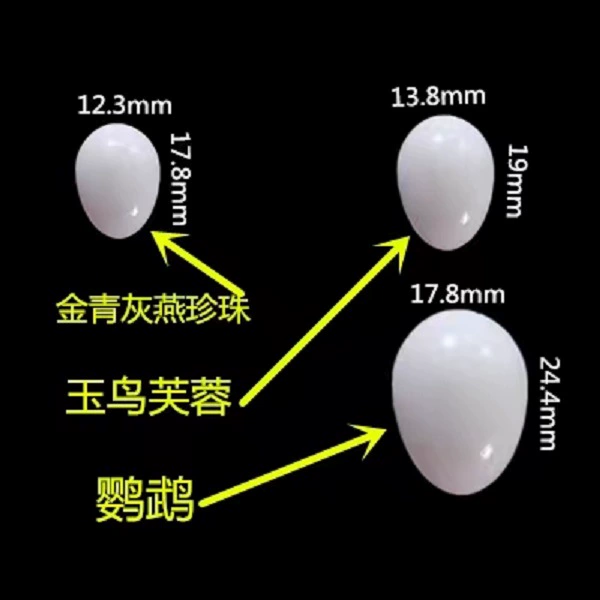 Перьевое гнездо, искусственные птичьи яйца, сменные яйца, искусственные яйца, искусственные яйца для птиц, игрушка для попугая, птичьи яйца, приманка, принадлежности для птиц, твердые яйца