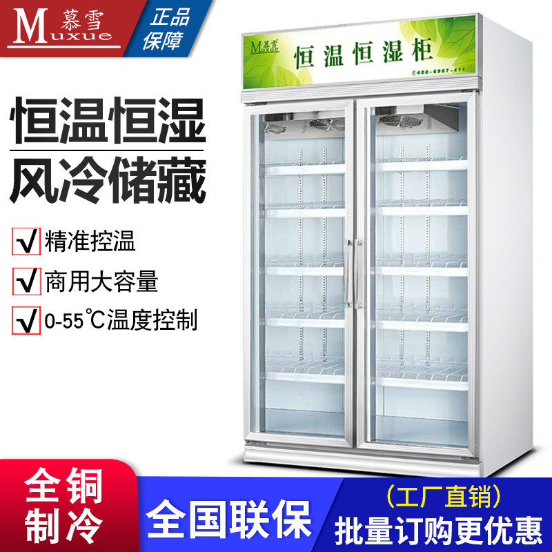 Commercial constant temperature and humidity cabinet calligraphy and painting chip constant humidity cabinet precious metal film refrigerator cultural relic constant humidity box room