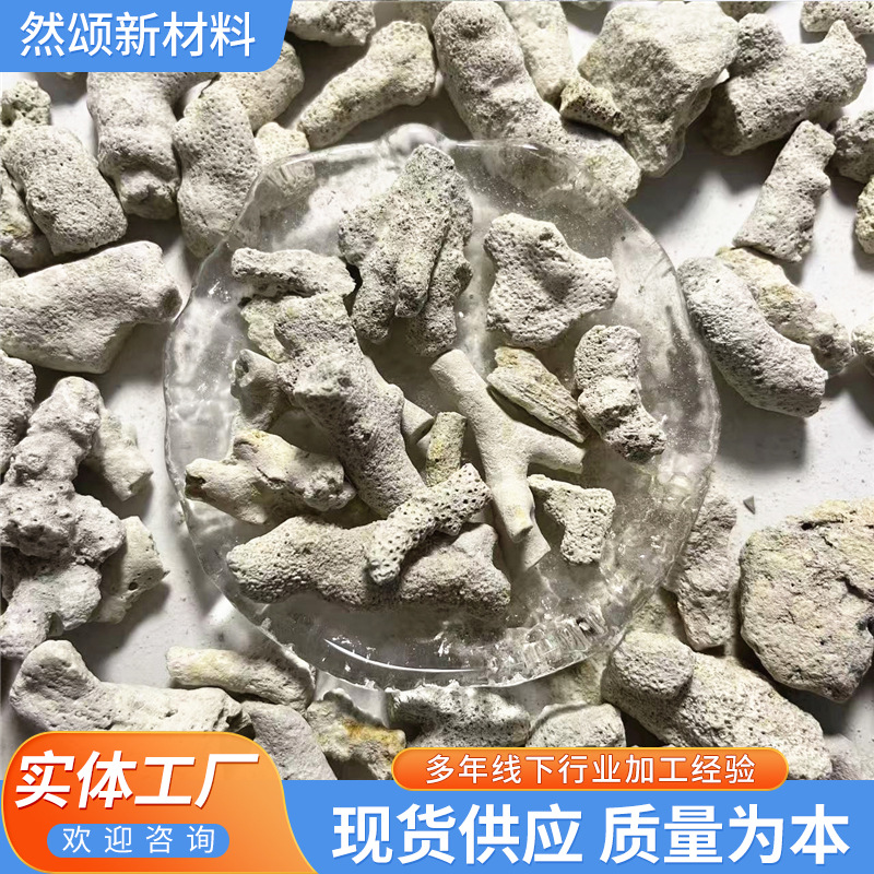 珊瑚骨水族矿物造景过滤装饰材料砂海洋馆净化水质