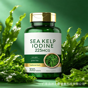 ������z�Ҵ��ӹ��羳����Ʒtk��������վī������y�ݱ�ȫӢ��