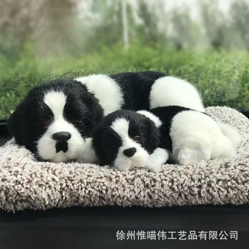 Madre e hijo en el borde del pastoreo + cabello gris