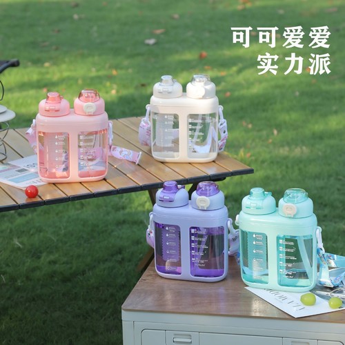 Double-compartment, Dual-Drink Portable Fruit-Grid Space Cup | Insulated, High-Temperature Resistant, Drop-Proof Sports Water Bottle with Straw | Tea-Making Sports Kettle