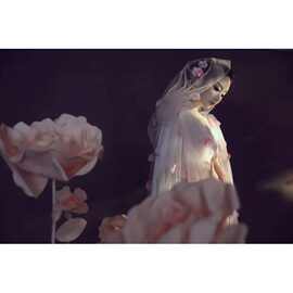 桃花仙女披肩透明网纱斗篷带帽子披风结婚拍照汉服公主美人贵妃装