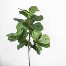 �������~�żپGֲ�~�Ŀ͏d�Ҿ�ܛ�b�Ӱ��g�[���b�����쾰����