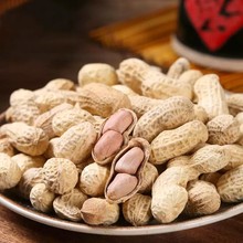 ���l�������������̸��}ˮ��ו�ɻ����׳��Թ���ʳ�����l