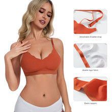 �羳���Q�W����a�o������Ĩ�؟o�Ȧ�����ͼ玧��������Ů����