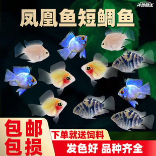 �����~���Č��{�P���������W�^�~��С�͟Ꭷ�~��ˮ�~�^�p�~���w