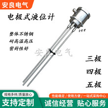 G2寸螺纹电极式液位计法兰型水位开关控制器不锈钢高温探头传感器