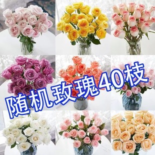 Fresh Roses Yunnan Kunming Dounan Base Straight Hair Water Nourishing Lily Fresh Cut Flowers Valentine's Day Bouquet Hair