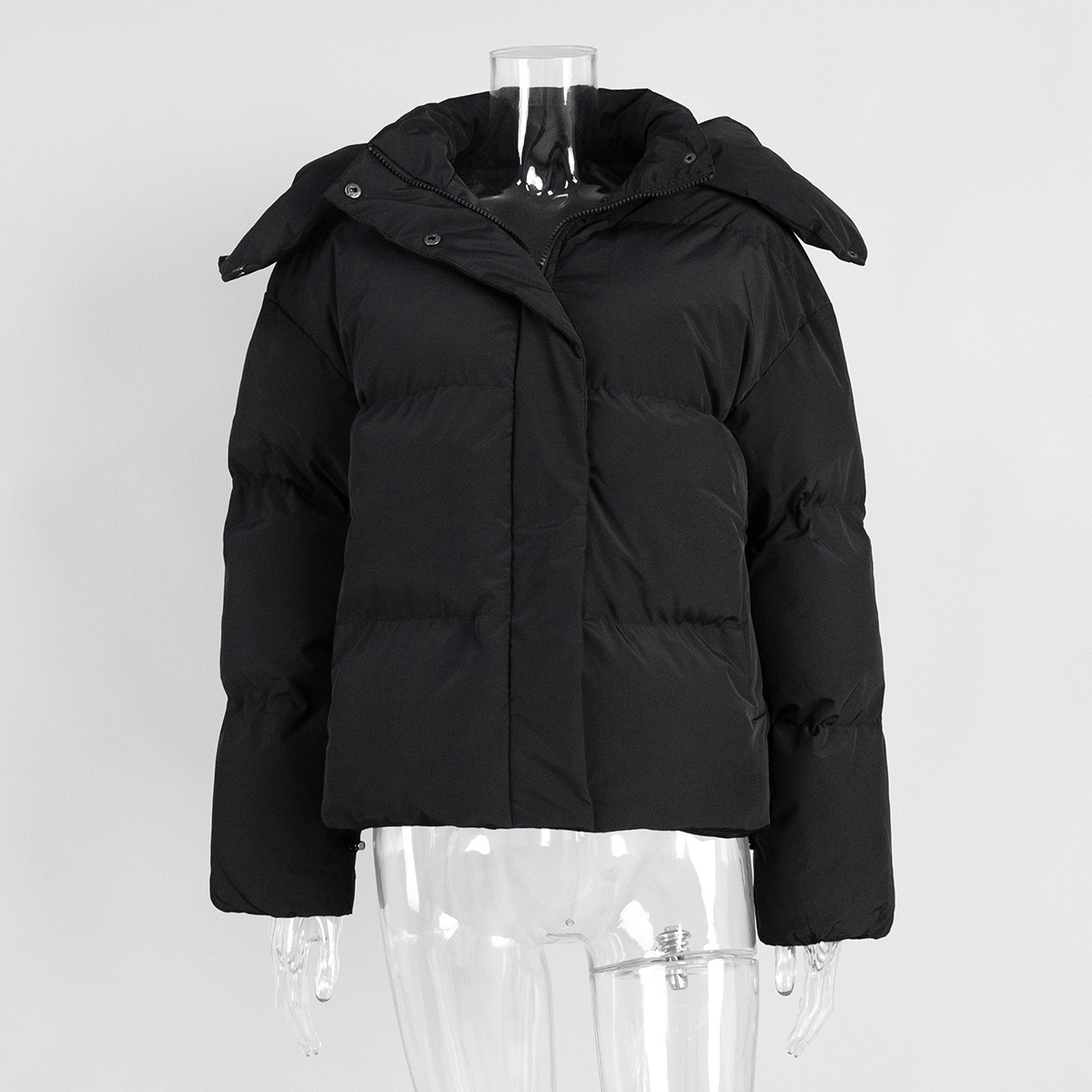 Capa de algodón transfronterizo para mujeres en invierno de 2025 Europa y América nueva chaqueta de algodón chaqueta de algodón suelta chaqueta corta con capuz image 7