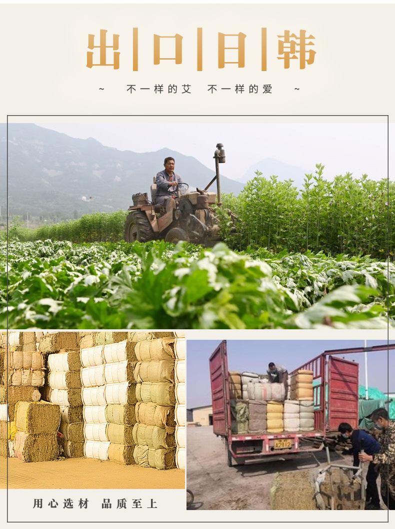 Aged Pure Mugwort Leaves Ai Ye 250g Dried Artemisia argyi for Moxa Rolls and Indoor Herbal Incense quality and texture