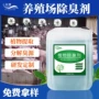 养猪植物污水粪便除氨气