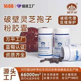 保健食品;滋补养生饮品/炖品;灵芝