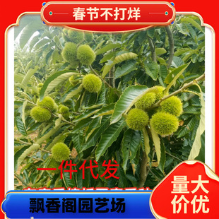 �����Ԯa���N������޽Ӵ�t�۰�������r���ϱ����Nֲ������