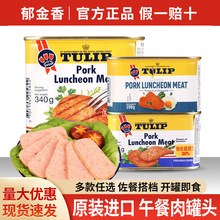 丹麦进口郁金香午餐肉披萨三明治专用火腿即食猪肉罐头午餐肉罐头