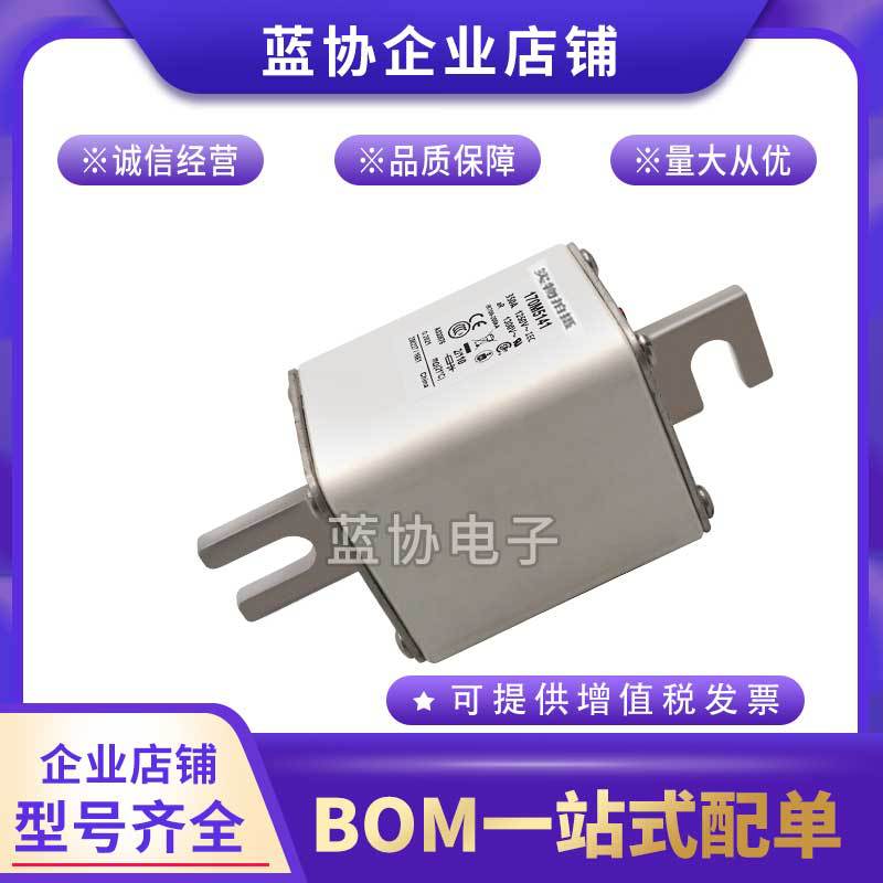 全新保险丝熔断器170M4921 170M4922 170M4923 170M4924 170M4925