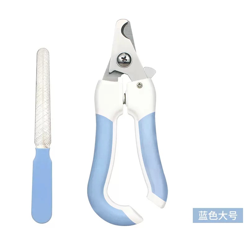 빛이없는 큰 파란색 종이 카드