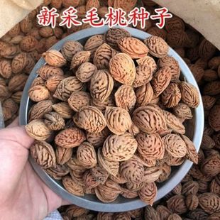 ë�ҷN�� �����²� �Ҙ�N�� ë�Һ˷N�� ë�Ҙ�N���l �Һ��N��
