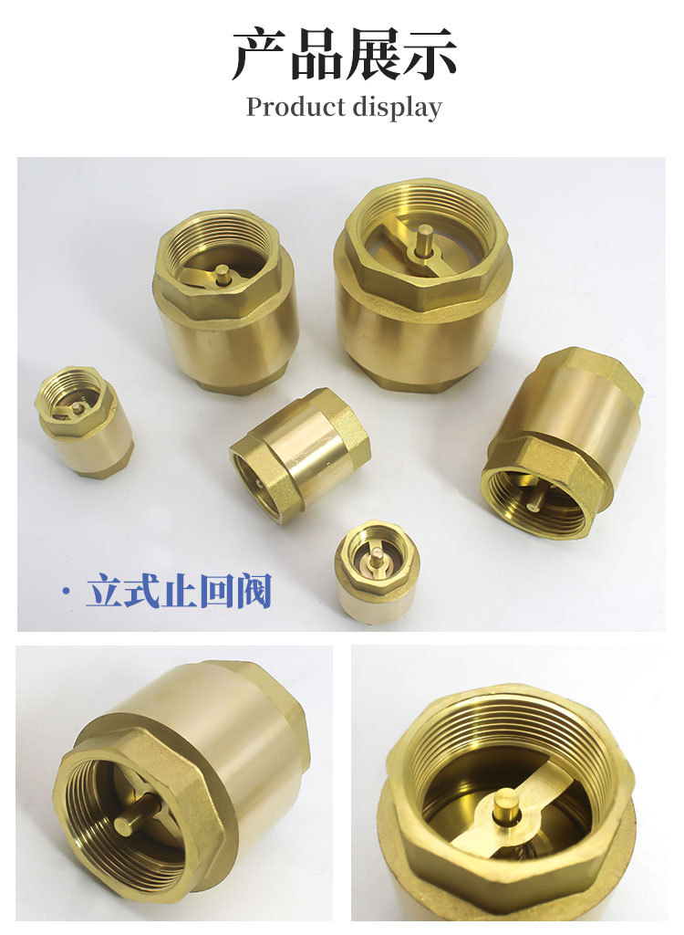 立式止回阀_06