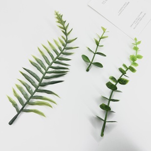 Ϸ~쾰ˮݼٲȼ~ֲbާ~