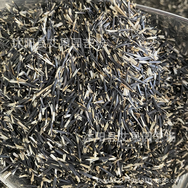 Легко выращиваемые и не требующие особого ухода семена: мариголды, хризантемы, гибискуса, павлиньей травы, хризантемы «медоносная», хризантемы «соты», семена мариголда.