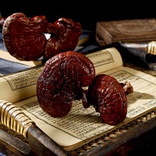 灵芝组合装林芝子实体大货批发大别山优质原料灵芝全品类源头厂家