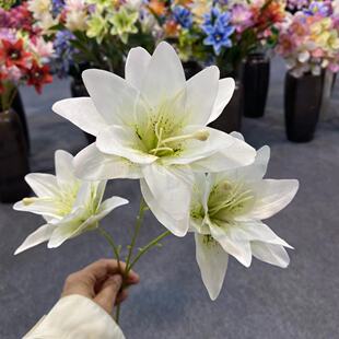 �p�ӷ�������С�ٺϸ߼��зՇ��ٻ��Ƶ��bҾӔ[�O��ˇ������c