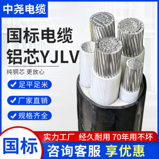 �����X��|�Xо��YJLV3 4 5о�����|��16 25 35 70 50�z�b����
