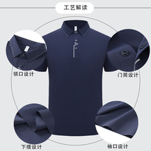 ���M�_Ʊ�����z�ߏ�����ʿ�r�����e���I����POLO��2026�ļ��¿