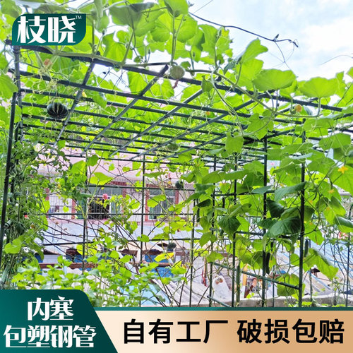 Outdoor courtyard gardening grape rack climbing vine flower stand assembly bracket cucumber loofah bean rose plant climbing frame