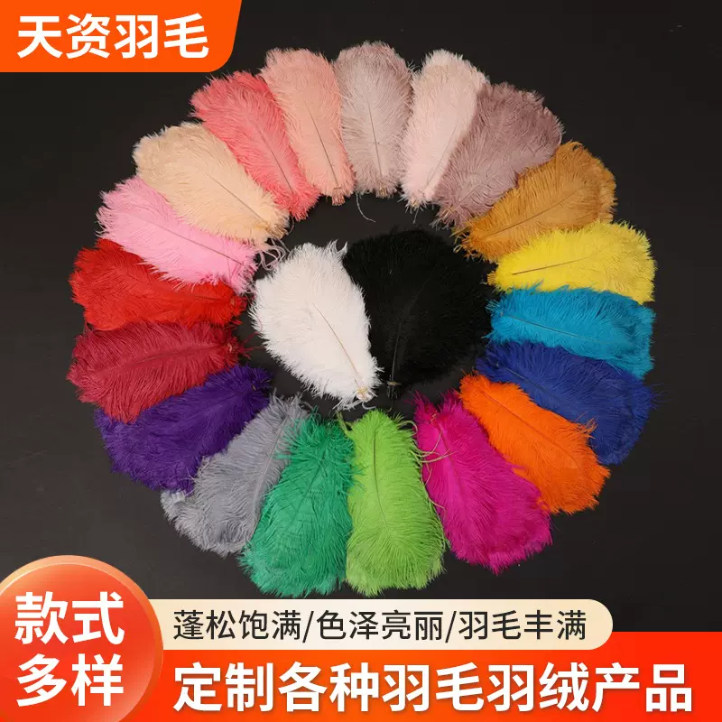 现货15-80cm鸵鸟毛舞台演出白色羽毛婚庆DIY装饰鸵鸟羽毛批发
