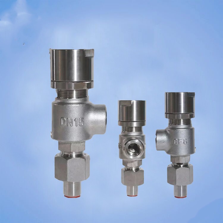 A21W-16P/R不锈钢安全阀A21F-25P/R水处理CF8M化工CF3M管道安全阀