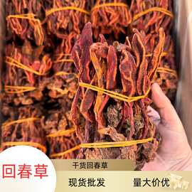 回春草1kg散装多种规格现货直批正品回春草量大价优捆把回春草