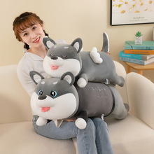 �¿��ʿ��ë�q��߹����L�l��Ȯ����������ż��Ů�����նY�����