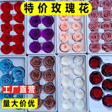 特价永生花真花C级玫瑰DIY材料包永不凋谢的玫瑰花花束花材向日葵