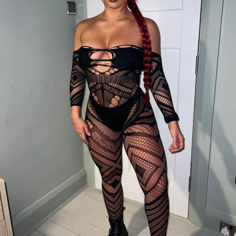 Summer Sexy Temptation Sheer Mesh Long Sleeve Sheath Jumpsuit