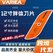 ��ݙC�¿�w��Ƭ12����2.0������͸�ݙC��Ƭ