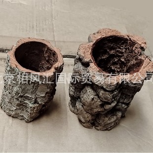 [Portuguese Cork] Imported Dried Fruit Decoration Photograph Props Flower Arrangement Natural Plant Fish Tank Scene