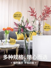 ?͸���Ӻ�ֱͲ������ƿˮ��ֲ��ѩ��ˮ�B�����R��ľ���F���