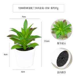 盆景;仿真绿植;盆栽
