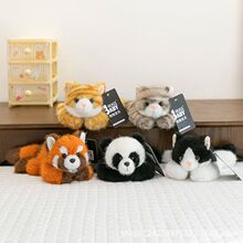 ������ؐ�ڴ�ϵ�Ъ��ǫF�≺���Ќ�ë�q�������l��������ë�q��ż