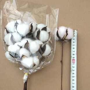 ���S��ֱ���������޻���ɫ��ɫ��֧ �}�Q�b��޻����� �޻��ɻ�