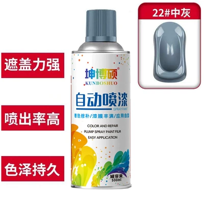 Spray Paint Can Anti-Rust Paint Furniture | Avtomobil boya qələmləri - 1can-self-painting-22-medium-gray