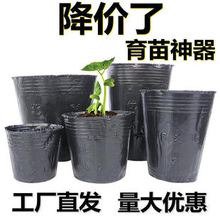 �I�B�����籭һ���Ժ�ɫ�I�B���������̖���Nֲ����������I�B��
