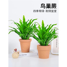 Bާާ҃^~Gֲܿ͏dk˾ֲļG