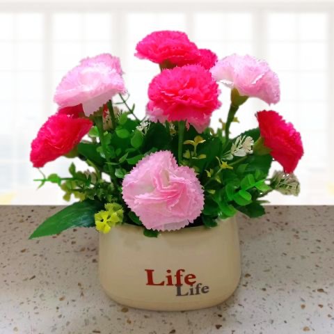 구명 분지-카네이션 장미 분말