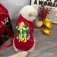 新年喜庆猫咪衣服秋冬加绒保暖过年拜年小狗衣服英短比熊泰迪幼犬