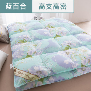Duvet Cover, Anti-Drilling Velvet, Self-Filling Velvet Semi-Finished Product, Inner Core Quilt Cover, High-Density Fabric