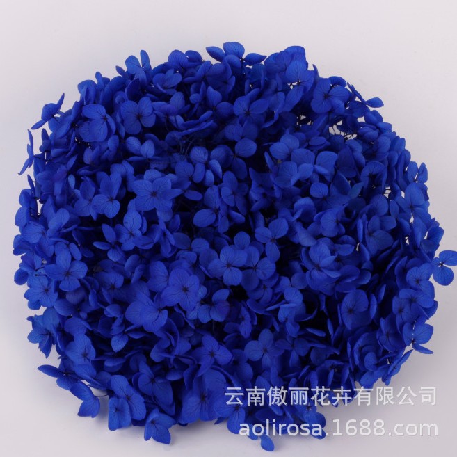 Grado A Anna Hortensia flor permanente flor seca Hortensia de hoja pequeña 20g Hortensia en caja fábrica al por mayor MATERIAL DE FLOR DE San Valentín